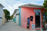 LAU_5650.jpg