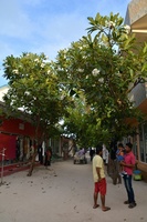 LAU_5671.jpg