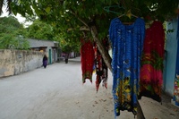 LAU_5687.jpg