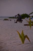 LAU_5727.jpg