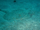P2040015-420x314.jpg