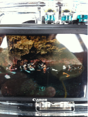image-20111013141203.png