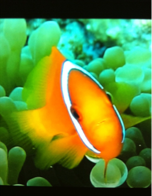 image-20111013220813.png