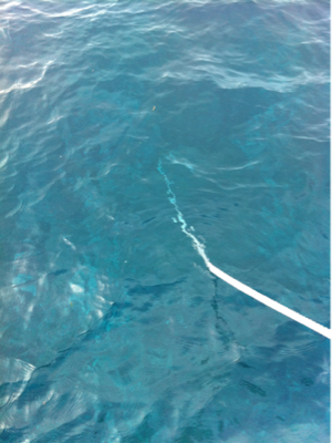 image-20111014085802.png