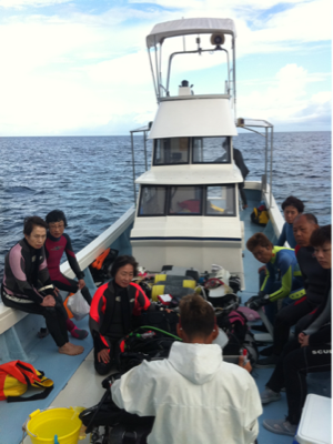 image-20111014085819.png