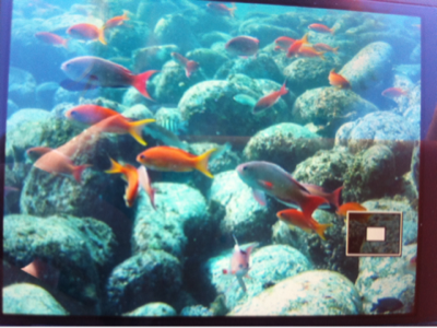 image-20111029123235.png