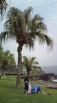 F1001221.jpg