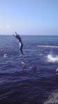2009081314430000.jpg