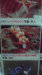 2009091812080000.jpg