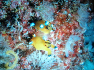 20091123154943.jpg