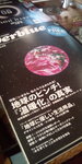 20100318205536.jpg