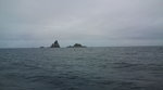 F1001515.jpg