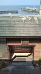 F1001659.jpg