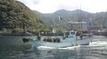F1002210.jpg