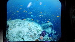 DCF00476.jpg