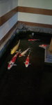 20111030163405.jpg