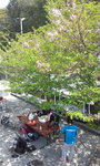 DCF00445.jpg