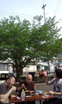 DCF00490.jpg