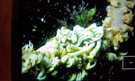 DCF00539.jpg