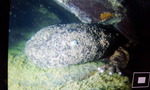 DCF00026.jpg
