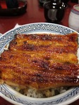image.jpeg