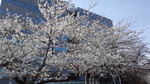 DCF00127.jpg