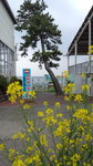 DCF00139.jpg