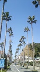 DSC_3935.jpg