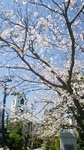 DSC_3944.jpg