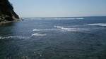 DSC_3991.jpg