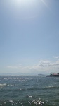 DSC_4908.jpg