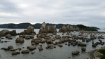 DSC_0955.jpg