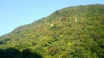 DSC_0332.jpg