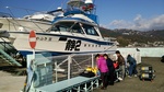 DSC_0786.jpg