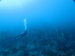 20150313_102417.jpg