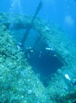 20151120_104503.jpg