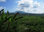20151122_101826.jpg