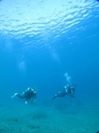 20151127_103124.jpg