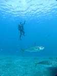 20151127_111845.jpg