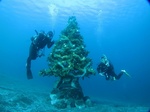 20151127_140041.jpg