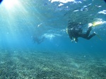 20151127_141316.jpg