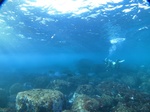 20151222_143222.jpg
