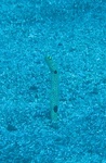 20151226_104537.jpg
