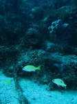 20151226_105900.jpg