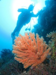 20151227_094255.jpg