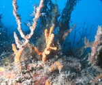 20151227_093616.jpg
