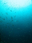 20160528_094325.jpg