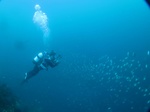 20160622_112345.jpg
