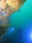 20160712_093625.jpg