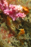 20160712_095808.jpg